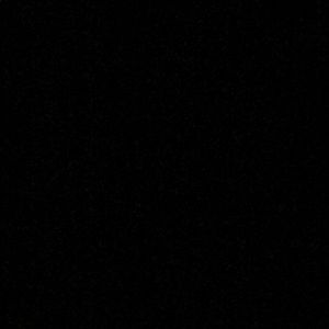 Meet your Posher, Ellie